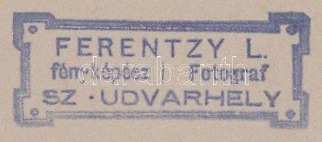 cca 1880-1890 Ferentzy L. (Székelyudvarhely): Erdélyi családok leány gyermekeinek csoportképe, 11x15...