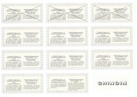 Budapest 1990. "Chinoin Gyógyszer- és Vegyészeti Termékek Gyára Rt." részvénye 10.000Ft-ró...