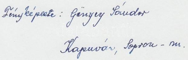 cca 1930 Gönyey Sándor: Kapuvári népviselet, aláírt vintage néprajzi, viselettörténeti fotó, 18x13 c...