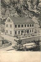 Semmering, Hotel Adlitzgraben, Kunstverlag Frank, No. 565. (EK)