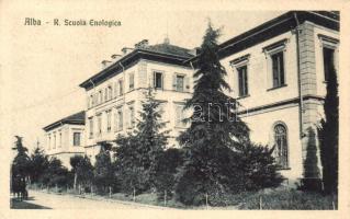 Alba, R. Scuola Enologica / school