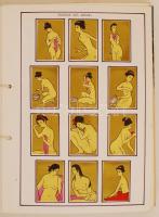 Nagy érdekes japán gyufacímke-gyűjtemény, 1920 előtti darabok, 2 berakóban, sorozatokba rendezve, na...