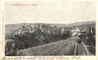 Costigliole d'Asti, Vignassa / wine yard