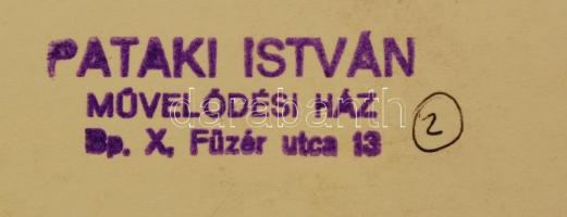 cca 1960 Wallinger Ferenc: Esti fények a Gellérthegy lábánál, 40x28 cm