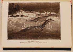 Ismeretterjesztő Könyvtár: E. S. Grew: A modern geológia. Ford. Dr. Ballenegger Róbert. 25 ábrával. ...