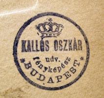 cca 1924 Kallós Oszkár felvétele Mahunka Imre bútorgyáros és nemzetgyűlési képviselő síremlékéről, p...