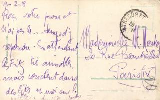 Gross-Gerau, Austriand and German flags (EB)