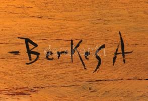 Berkes jelzéssel: Utca részlet. Olaj, fa lemez, 51×63 cm