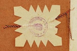 1915 Kazán (Fowler John és tsa, Leeds) használati engedélye és nyilvántartási könyve