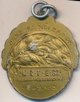 1942. "Matolay Elek 1836-1883 / MOTESZ (Magyarországi Testedző Egyesületek Szövetsége) Ifjúsági...