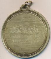 Olaszország 1982. "4. Camminata Amministrazione Comunale Arci Torrazzo Bagnolo" Br medál. ...