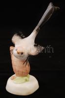 Aquincumi porcelán madár, jelzett,sorszámozott:22,  hibátlan. 15,5x9cm