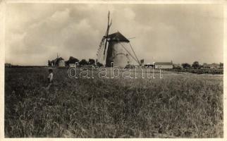 Alföldi szélmalom / Hungarian folklore, windmill