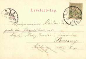 Budapest VIII. József körút, Automobile Union Paris, villamos