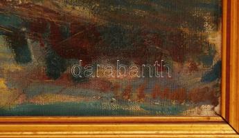 Felsmann Tamás (1918-): Falurészlet. Olaj, vászon, jelzett, keretben, 50×70 cm