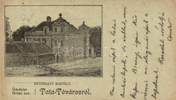 Tata-Tóváros, Esterházy kastély (b)