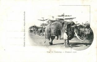 Cambodge, royal elephant (EK)