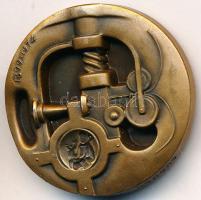 Finnország 1974. "Aranyipar / 1899-1974." Br emlékérem. Szign.: Raimo Heino (33mm) T:1-
Fi...