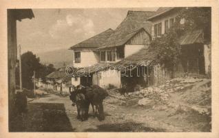 Sarajevo, street scene