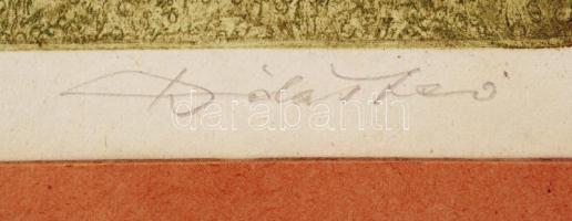 Dudás Jenő (1900-1991): Erdő széle. Színezett rézkarc, papír, jelzett, 32x39 cm