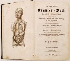 Müller, Ferdinand Dr.: Das große illustrierte Kräuterbuch. Eine Ausführliche Beschreibung aller Pfla...