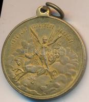 1898. "Szabadságharczunk dicső emlékére" Br emlékérem (30mm) T:2