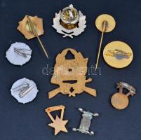 10db vegyes jelvény, kitűző, miniatűr és gomblyukjelvény, közte "Kiváló Pénzügyi Dolgozó",...