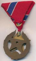 1951. "Közbiztonsági Érem" bronz fokozata a karhatalom tagjai részére, zománcozott Br kitü...