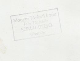 Sziklai Dezső (1910-1997): Barátkozás, hátoldalon feliratozva, pecséttel jelzett, 18x24 cm