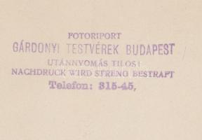cca 1930 Repülős bankett, Gárdonyi Testvérek Buadpest, pecséttel jelzett, feliratozva, 17x11 cm
