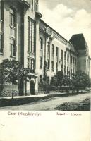 Nagykároly, Líceum / lyceum (EK)