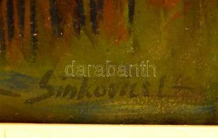 Sinkovics László (1944-): Balaton. Olaj, farost, jelzett, keretben, 60×90 cm