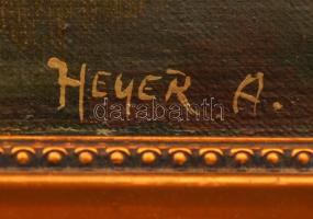 Heyer jelzéssel: Foxi. Olaj, vászon, keretben, 24×33 cm