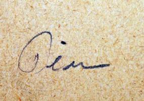 Olvashatatlan jelzéssel: Katona. Tus, papír, 40×29 cm