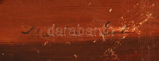 Olvashatatlan jelzéssel: Virágcsendélet szőlővel. Olaj, vászon, 79×59 cm