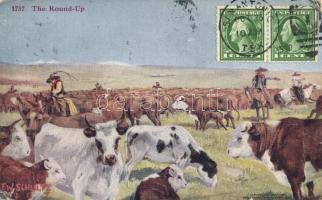 American cowboys with cows (EB)