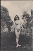 cca 1900-1910 Álló akt, Künstler Akt-Studie, 9x14 cm / cca 1900-1910 Nude photo, 9x14 cm