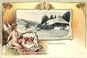 Schwarzwaldhaus (Freiburg im Breisgau) Verlag Johannes Elchlepp Emb. litho