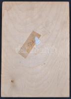 18db-ból álló vegyes magyar és külföldi kitüntetés, jelvény, emlékérem, főleg szocialista darabok, f...