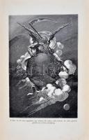 FLAMMARION, Camille: Népszerű csillagászat. Az égbolt egyetemes leírása. 1-2. kötet. (Teljes.)
Ford....