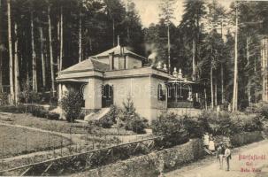 Bártfafürdő, Gül Baba villa / villa