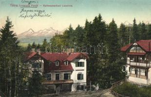 Lucsivna fürdő, Feitzinger Ede No. 401. (Rb)