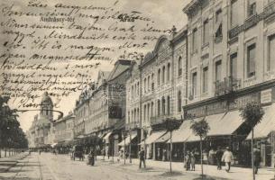 Arad, Andrássy tér, Fogorvos és fogtechnikus, Singer, Kilényi C. és társa, Weinberger János, Lengyel Lőrincz és Grallert J. és fia üzlete, Hajós Árpád gyógyszertára / square, dentistry, shops, pharmacy (EK)