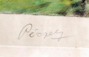 Kaveczky Zoltán-Péczely Antal: Cigány tábor. Színezett rézkarc, papír, jelzett, üvegezett keretben, ...