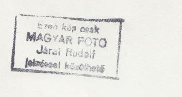 1954 Járai Rudolf (1913-1993): Erdei idill, eredeti fotónagyítás, hátulján pecséttel jelzett, 13×18 ...