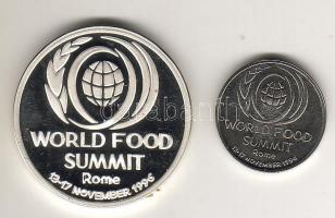 Románia 1996. 100L Ag + 10L fém "Élelmezési Világtalálkozó" T:PP+BU Tanúsítvánnyal, csak 5...