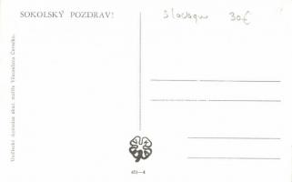 Rovnost - Volnost - Bratrství / Equality, Liberty, Fraternity; Czechoslovakian Sokol postcard, patri...