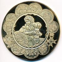 2001. "50 éves a Vésnök Kft. története" aranyozott fém emlékérem. Szign.: MMI (65mm) T:PP ...