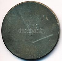 1948. "Csatornázási Művek Sport Egyesülete" fém díjérem eredeti dísztokban (40mm) T:2,2-
