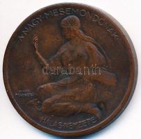 Berán Lajos (1882-1943) 1925. "Jókai Mór - A Nagy mesemondónak hálás nemzete" Br emlékérem...